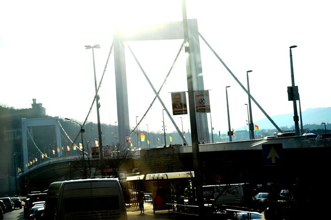 渡ってきたエリーザベト橋です。西陽が差し込んでいます。<br />橋柱には選挙のポスターです。このあと４月に総選挙が行われ、保守党が圧倒して政権交代しました。<br />それまでは社会主義党が政権を持っていましたが、全くの不人気であると現地ガイドさんが言っていました。<br />