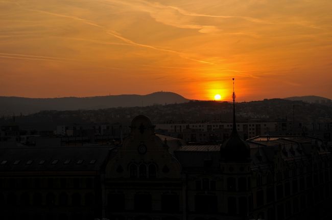 本日は晴天、綺麗な夕日です。