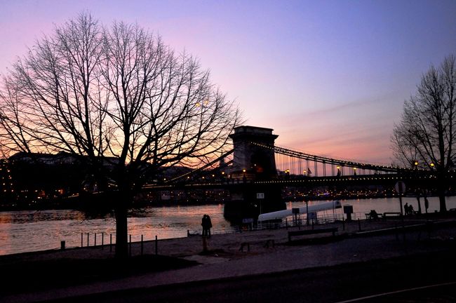 ドナウの夕暮れ、<br />くさり橋<br />・・・・絵になりますね。