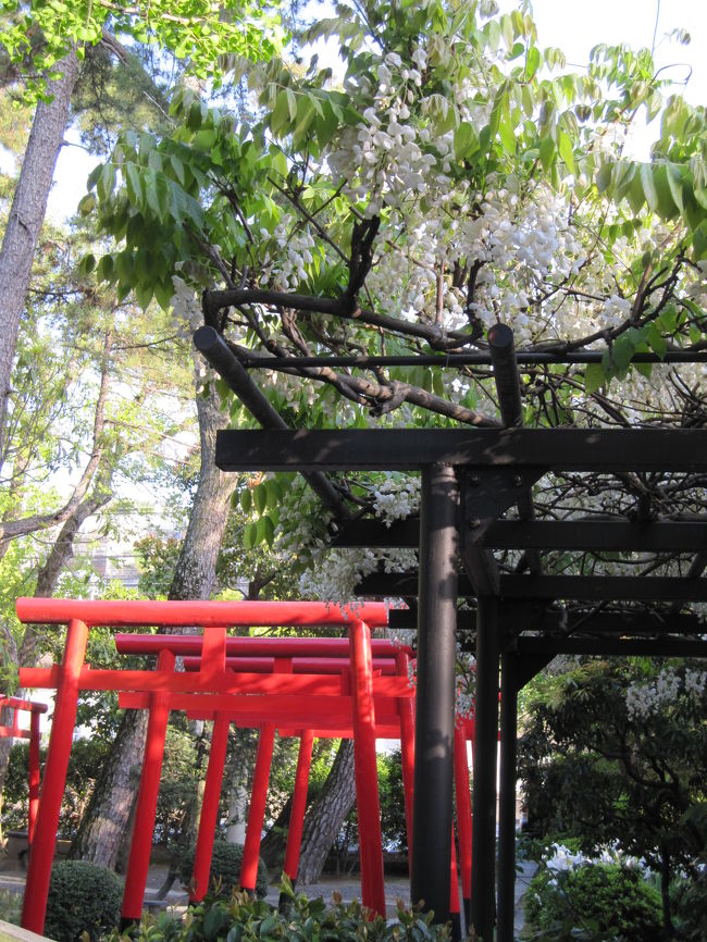 演奏会も終わり、友人との食事まで時間があるので<br /><br />一人ぷらぷら。<br /><br />数年前、吹奏楽の恩師を見かけたけど、<br /><br />今年は会えなかったな、残念。<br /><br />当時23歳の先生に私は憧れていて、<br /><br />20年以上経って見ても、やっぱり素敵でドキッとしました。<br /><br />格好イイ人はいくつになっても格好イイんですね（^^