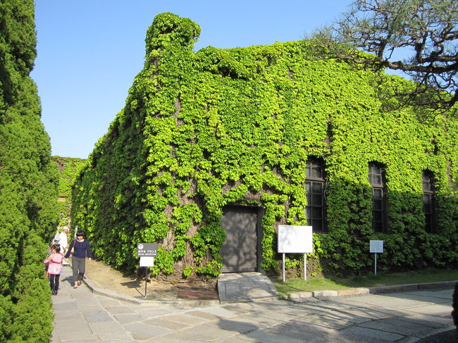 冬は赤レンガ一色なのに、<br /><br />すごいねぇ。。この景色。