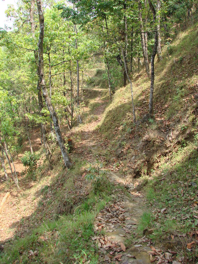 山の斜面を横切る旧道。
