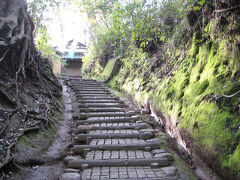 裏山に続く階段。

この先には、深山茶屋があります。

