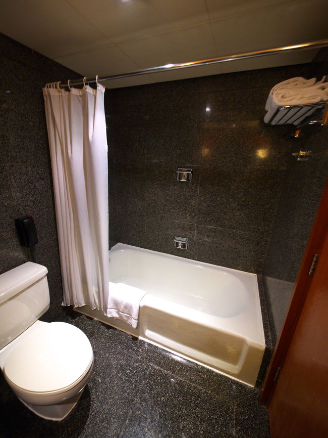 バスルームです。ちょっと水の流れが悪かったです。