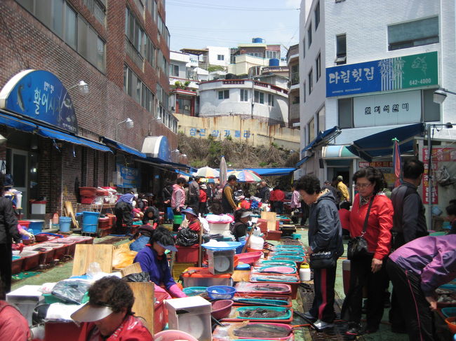 統営市外バスターミナルの観光案内所で山陽一周道路行きのバスについて質問していたら<br />二人連れの年配日本人女性に声を掛けられた。<br />成田から来られて一緒のフェリーであったとの事。<br />統営出身の作家が好きで来て見たと言われて<br />今から泊まる所を探している様子で<br />統営の事をあまり知らないと言われたので<br />中央市場やドンピラン村や達牙公園の夕日が絶景と<br />教えてあげました。<br />その後は一緒に中央市場までタクシーで行きました。<br />６１００Ｗを割勘にした。<br />