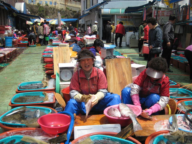 市場のアジュマに写真を撮っても<br />良いですかと尋ねたら<br />思いっきりの笑顔を見せてくれた。<br /><br />中央市場内を<br />見学しながら歩いていたら<br />後ろからきたおじいさんが乗った<br />自転車に激突された。<br />おじいさんは自転車ごと横に<br />転倒してしまった。<br />なにか文句を言っていたが<br />言葉がわからないので・・・<br />特に怪我はしていなかったと思うが<br />そのまま行ってしまった。<br />夜に入浴したら左ふくらはぎは<br />みごとに紫色に変色しており打撲もあって<br />かなり痛かった。