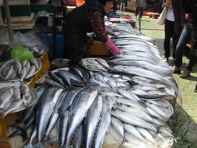 漁港なので魚はとても新鮮そうでした。