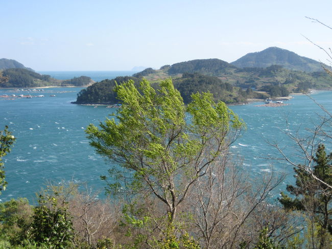 水産科学館の前からの海の景色です。