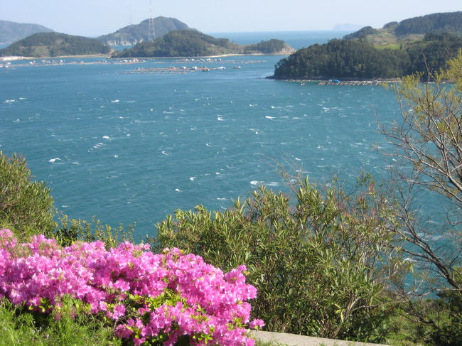 水産科学館の前からの海の景色です。<br />強風の為に白波が立っています。