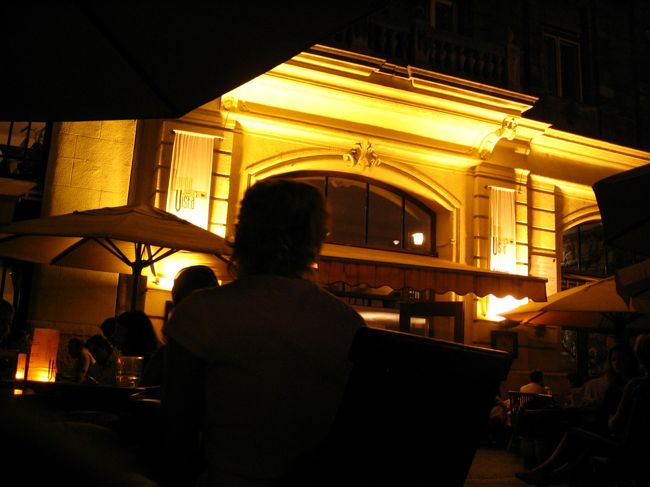 ブダペストは会社の人たちにいろいろ観光案内してもらった。まずは晩飯をご馳走になり、ハンガリー人の男女比が女が多いということを知る。