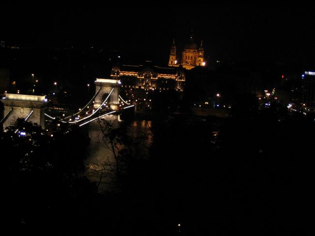 そのあと車で高台にある王宮のようなところに案内され、ブダペストの美しい夜景をご馳走になる。うーむう、綺麗☆