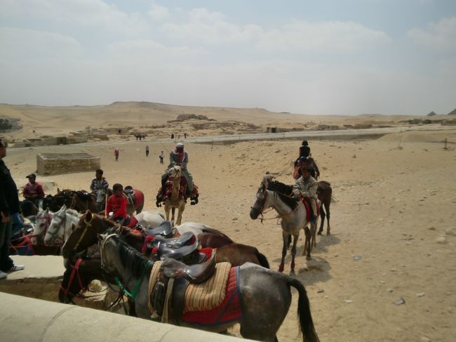 観光用の馬やラクダがたくさんいます。<br />おっさん達が客引きしてくるんだけど、<br />かなり小さい子どももいました。