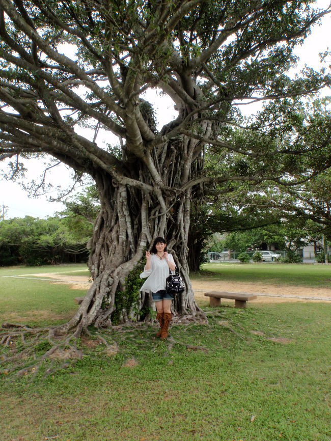 カイトは、さておき前回行く時間が無かった「ガンガラーの谷」ツアーです。<br /><br />南部で定番観光地の「おきなわワールド」と道路を挟んだ向かい側です。<br />ここなら方向音痴のきょろでも無事にたどり着けます。って何回も来てるから当たり前でしょとつぶやくり〜ちゃん。<br />芝生の広場には大きなガジュマルの木がいっぱい<br />のんびりくつろげそうな雰囲気の場所です。