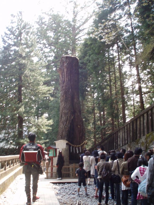 奥社にある叶杉。<br />樹齢約６００年。<br />諸々の願い事をこの杉のほこらに向かって唱えると願い事がかなうと伝えられている。<br />ここも長蛇の列。でもここも事前の情報収集の際に行きたい場所としてチェックしていたので、並びましたよ。願い事はもちろん・・・秘密です。