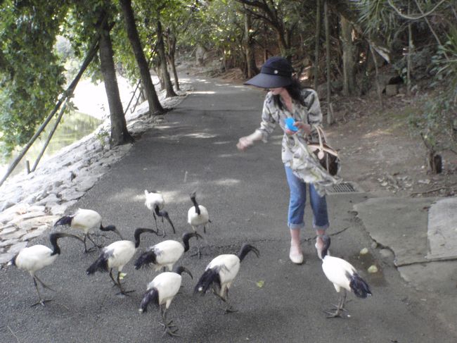 へっぴり腰で遠くに餌を撒き素早く通りすぎるのでした。<br /><br />怖い〜と言いつつけっこう楽しみました。<br />でも若干臭みが・・・