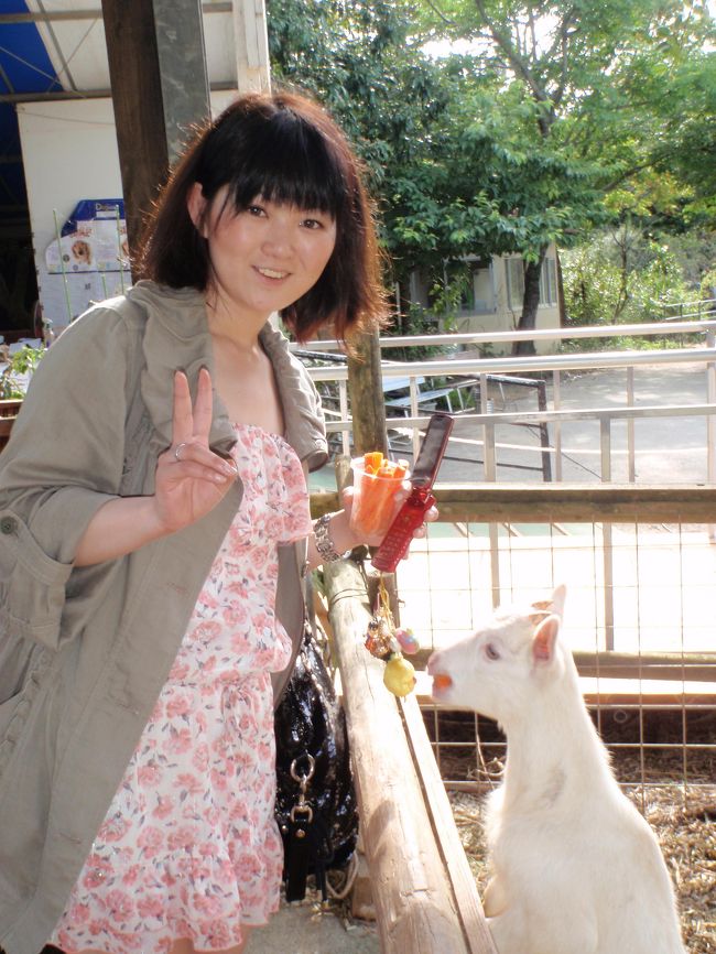 ふれあいコーナーには可愛いヤギさんもいました。<br />ここには残波岬みたいな<br />「美味しい山羊汁あります」の看板出てないから安心<br />ヤギさんやラマさん用には餌の人参も販売してます。<br /><br />またまた、無駄使いしちゃいました。<br />動物好きにはお勧めの場所かも。<br />次回はズケランとかっていう穴場に行きたいなぁ<br />鳥好きなり〜ちゃんはダチョウランドも気になるみたい。