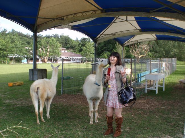 背後から忍び寄り<br />髪の毛を食べるラマくん<br />