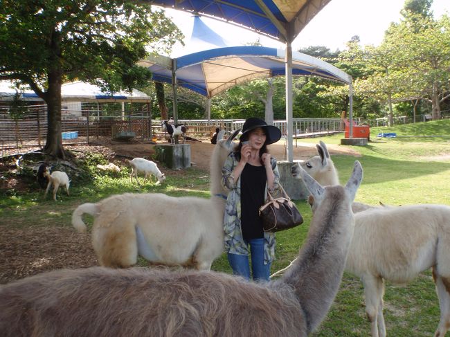 髪の毛食べられるとめちゃ痛いです。<br />しかも中々離してくれません。<br />「禿げるから止めて〜」と、言っても聞いてくれるはずもなく・・・<br /><br />後でふれ合いコーナーのスタッフさんに聞いたら<br />このコ達　髪の毛が大好物なんですって<br /><br />これから行く予定の方くれぐれもご注意を！