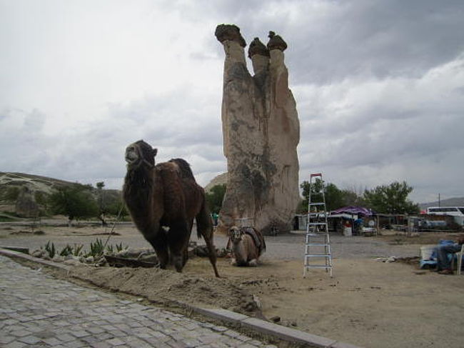 パシャバーのキノコ岩