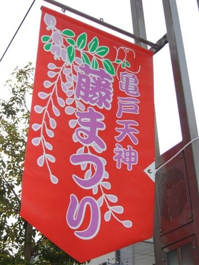 藤まつり<br />2010.4.18（日）〜5.5（水）<br />