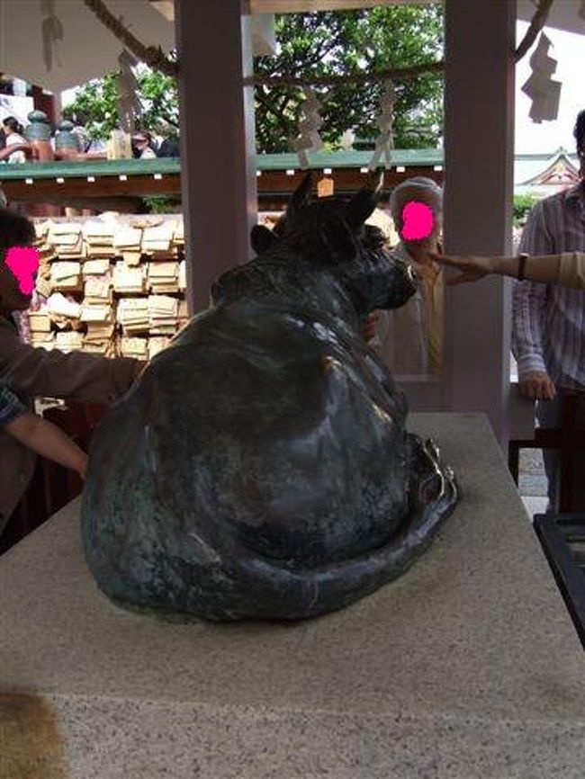 神牛<br /><br />後姿♪