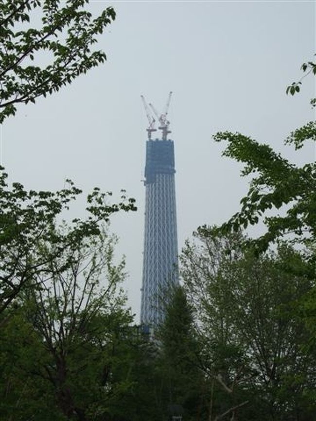 スカイツリー<br /><br />この倍の高さになるのね〜。