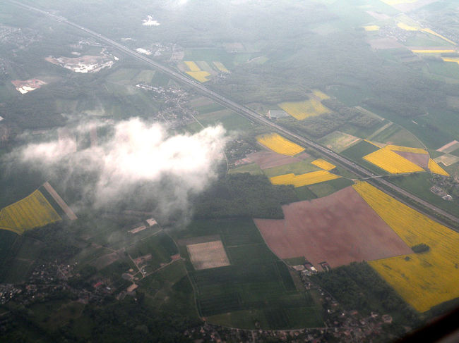 そんなわけで、午後遅くの用事をすませ、帰路につく。<br />写真はパリ近郊の畑だが、あの黄色い畑はなんだろう。菜の花はまだ時期が早すぎるし。。