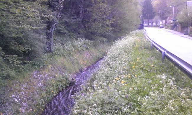 道路沿いで川を眺める。