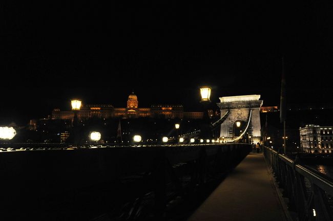 くさり橋から王宮が見えます。