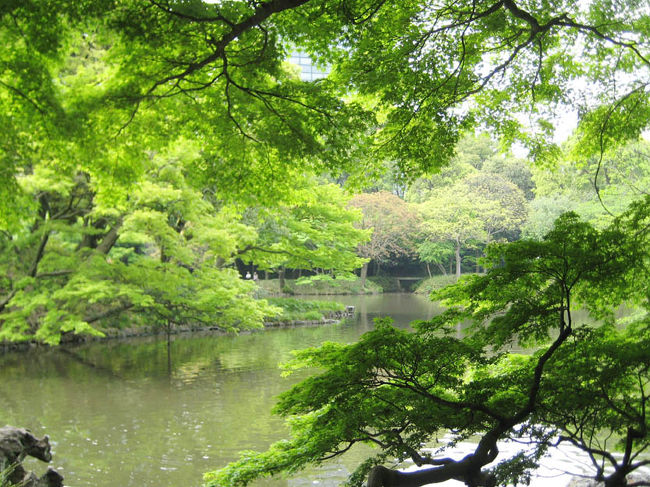 東京都文京区（小石川後楽園） 2010月5月』水道橋(東京)の