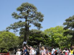 食事を済ませお土産を買った後は鶴岡八幡宮に行きました。
こちらも観光客…ではなく小学生が多かったです。