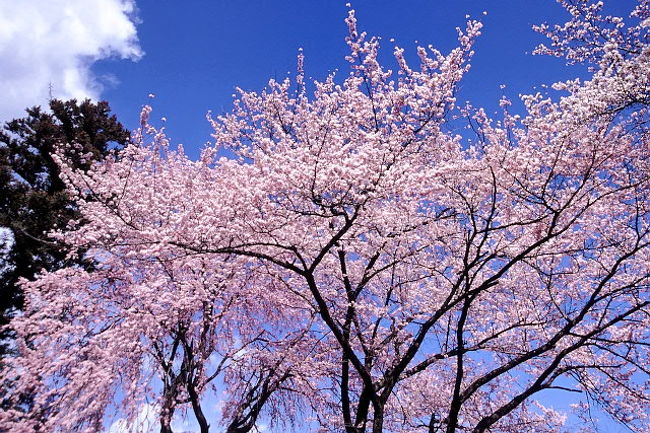 南アルプス市妙了寺