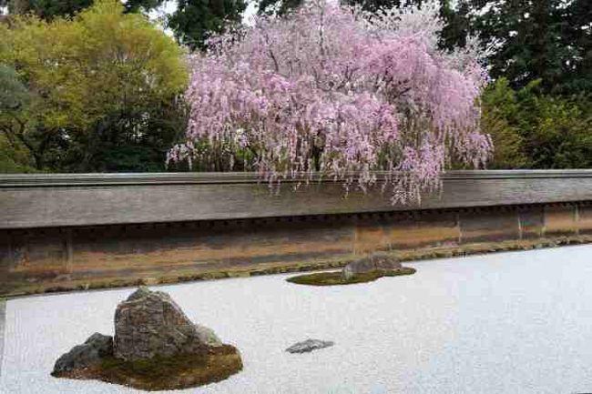 竜安寺の石庭