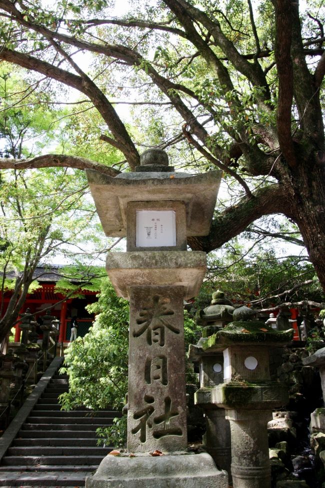 春日大社<br /><br />たっぷり藤を堪能したので、そろそろ帰るとします。<br />