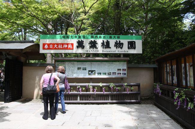 萬葉植物園<br /><br />昭和７年創設　国内最古・最大級<br /><br />萬葉集に詠まれた植物を植栽する植物園<br /><br />昭和７年に萬葉集にゆかりの深い春日野の地に昭和天皇の御下賜金を頂き、約３００種の萬葉植物を植栽する、 我国で最も古い萬葉植物園として開園されました。<br /><br />現在は山野にいのちを芽生えさす草木もなるべく人的な手を加えず、自然のままに生かし、参拝者に安らぎを与える『春日大社神苑 萬葉植物園』として親しまれております。