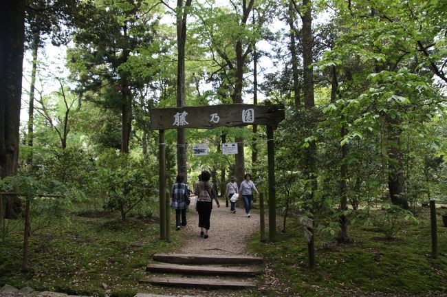 藤乃園<br /><br />園内をうろうろ歩いていたら、今日の目的地、藤乃園が見えてきました。<br />