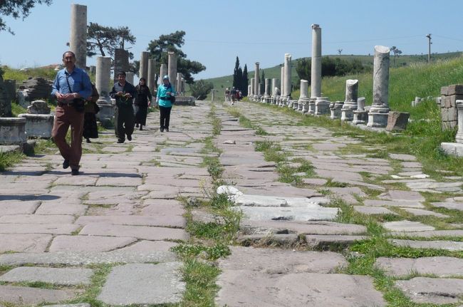 患者さんはこの列柱と石畳の道を　奥へ進み、医療センターへ。　家族と別れ、入院。