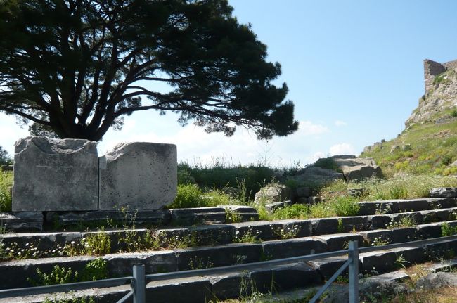 この樹木のある場所は、有名なペルガモン神殿（ベルリンにあるペルガモン博物館の正面）跡。ここにあった神殿なのです。