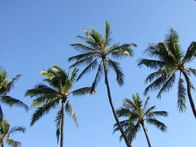 この日はツアーの集合時間が9時20分だったので、かなり朝早くから行動開始しましたが、たくさんの人がビーチやビーチ沿いを歩いていました。<br /><br />ゆったりとした時間が流れてるって感じました。