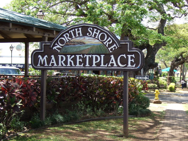 DFSからノースショアへ向かいます。<br />大型バス3台！！<br />トイレ付きバスで快適でした。<br />運転手さんが道中いろいろな説明をしてくれます。<br />…私はバスに乗った瞬間爆睡してしまい、気がついたらハレイワだったので覚えていないんですが…<br /><br />寝ぼけたままジョバンニのガーリックシュリンプを食べるべく歩き出します。<br />ハレイワ散策は90分だったので急ぎます！！