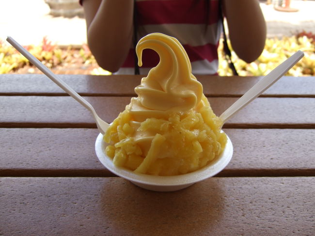 次はドールプランテーションです。<br /><br />30分しか時間がないのでとりあえず真っ先にパイナップルアイスを注文しに走ります！！！<br /><br />で…待ち時間なしですぐ注文しました（笑）<br />あとからだんだん行列になっていたので先に走って行って正解でした。<br /><br />味は…うま〜！！です。<br />バイナップルって歯に挟まるんですが（笑）これはそんな事なく食べる事ができました。<br />何よりおいしいです。<br />濃厚と言うか…パイナップルそのものって感じで。<br />ドールプランテーションへ行ったら食べるべきだと思います！！