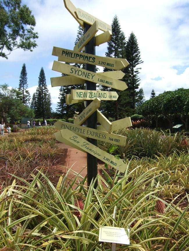 お土産を見て、場内を少し見学。<br /><br />東京までは何マイル？？