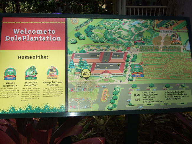 園内はとても広いようです。<br /><br />ドールを後にし、DFSへ向かいます。<br />帰りのバスも爆睡…<br />でもとても楽しいガイドさんだったと思います。<br />