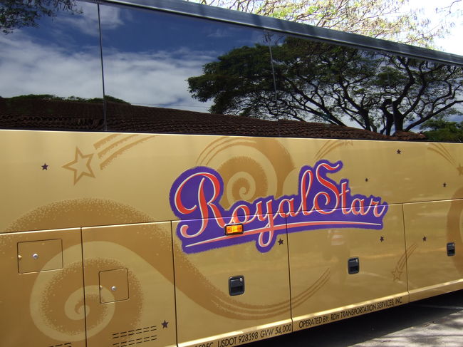 全体図ではないですが…<br /><br />このバスで行きました。<br />無料ツアーでだったのにとても快適でした。