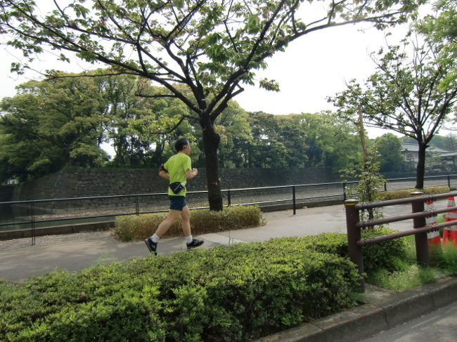 皇居の近くで結婚式がありました。<br />せっかくなので車で皇居を一周。<br />ランナーがたくさん走っていました。