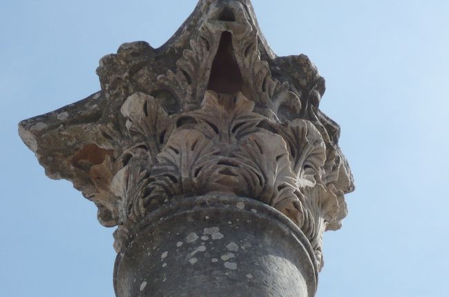 柱の上部　これはコリント式　細かで装飾に溢れて。