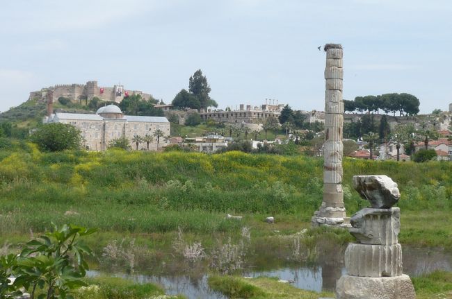 アルテミス神殿跡。野草の花も多く、　遺跡とマッチして。