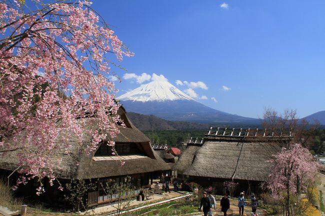 14：30　『西湖いやしの里　根場（ねんば）』<br />入村350円　駐車場無料<br /><br />西湖いやしの里　根場HP↓<br />http://www.fujisan.ne.jp/iyashi/<br /><br /><br />