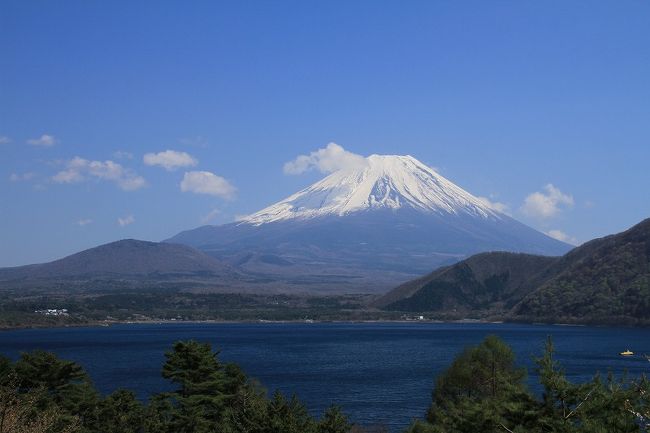 13：30　本栖湖の1000円札の富士山の撮影地まで戻ってきました。<br />