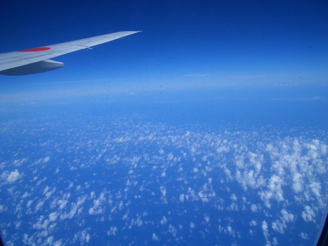 帰りの飛行機からの写真。<br />予定していた離島にいけなかったし、宿泊やレンタカー費用で予算もだいぶオーバーしたけれど、晴天続きでリゾートホテルの滞在よかったです！<br /><br />泊港へ行くときのタクシーの運転手さんに「欠航でてるなら行けても戻ってこれないかもよ。沖縄では無理はしないさ〜」と言われたことに納得。<br />次回離島への旅を計画する場合、欠航のことも考え事前にレンタカーやホテルなどを調べておいた方がいいなと思いました。<br />